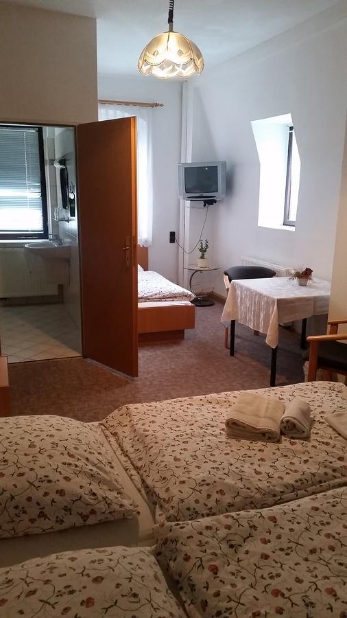 Pension Und Restaurant Die Burg Ehrenfriedersdorf Экстерьер фото